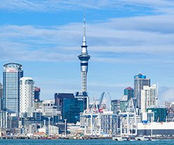 Study abroad in New Zealand |Nex Ted Global Study Abroad Pvt. Ltd.